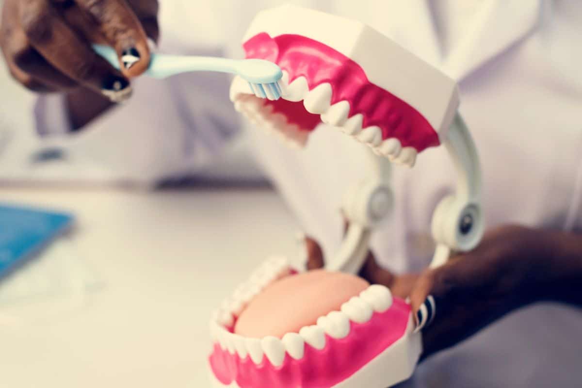 Dentist demonstrating proper toothbrushing technique using a dental model to prevent tartar buildup dentist in sandy